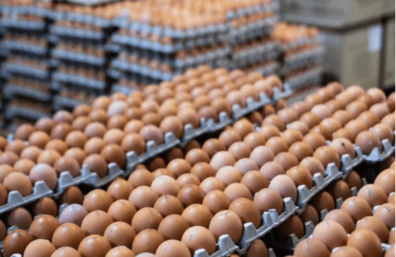 A poultry farm will be built in the Chuisky region for $1.2 million