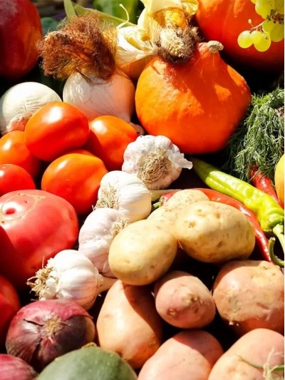 Organization of the supply chain of fruit and vegetable products to Kazakhstan