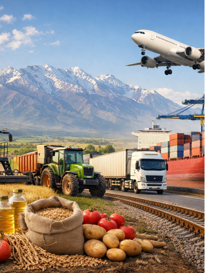 Влияние логистических систем на развитие международной торговли в аграрном секторе Кыргызстана